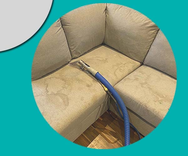 Cotton Couch Cleaning Brisbane